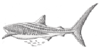 WxCU