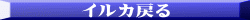 イルカ戻る