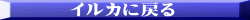イルカに戻る